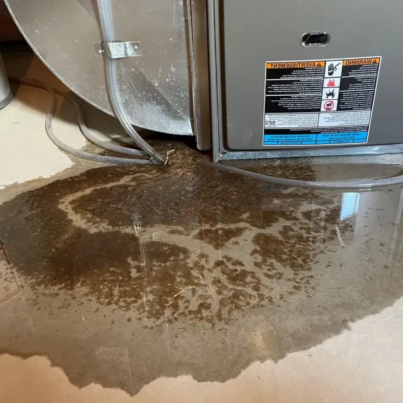 Pipe Burst and Leak Restoration in Auglaize County, OH