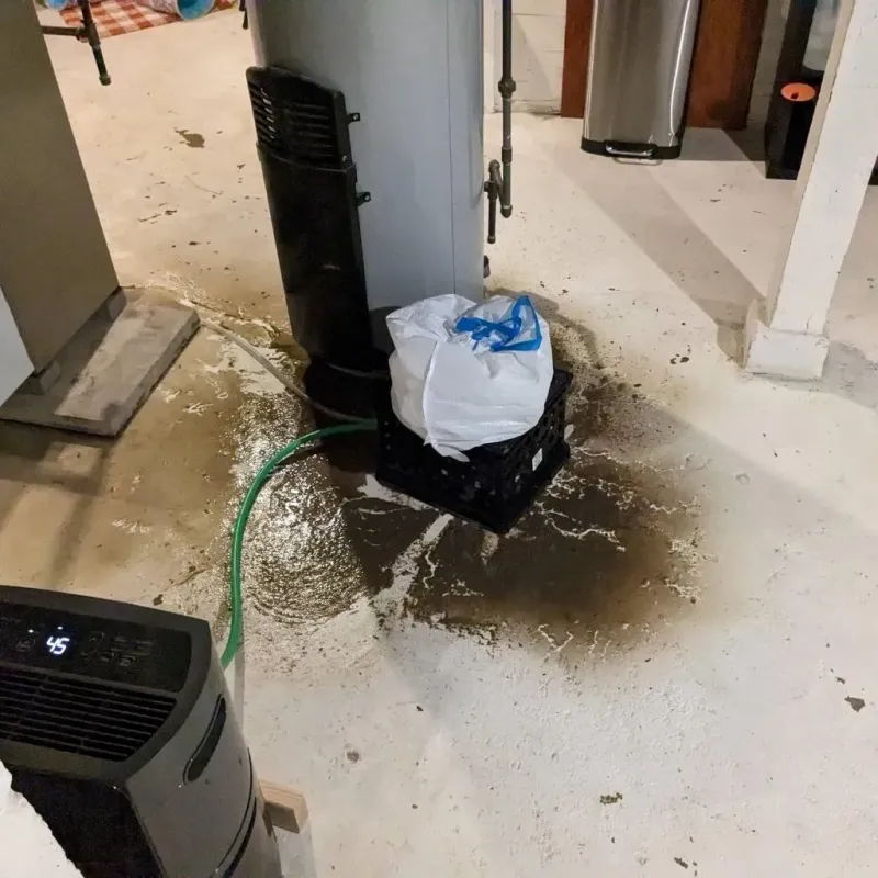 Sewage Backup Cleanup Service in Auglaize County, OH
